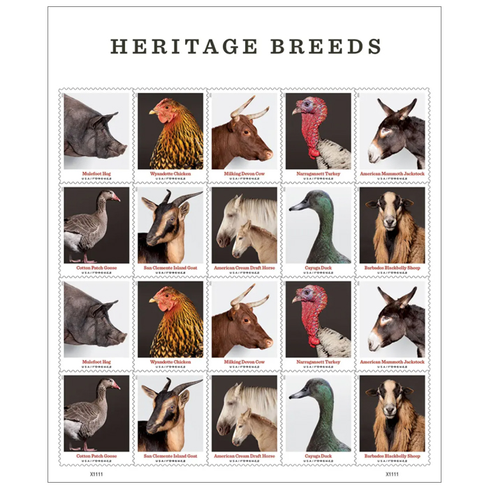 Heritage Breeds 2021
