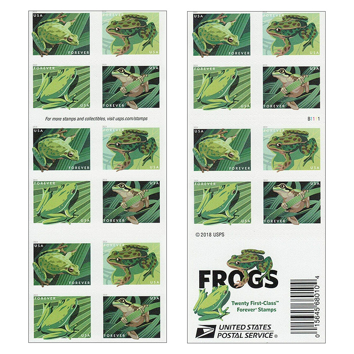 Frogs  2019