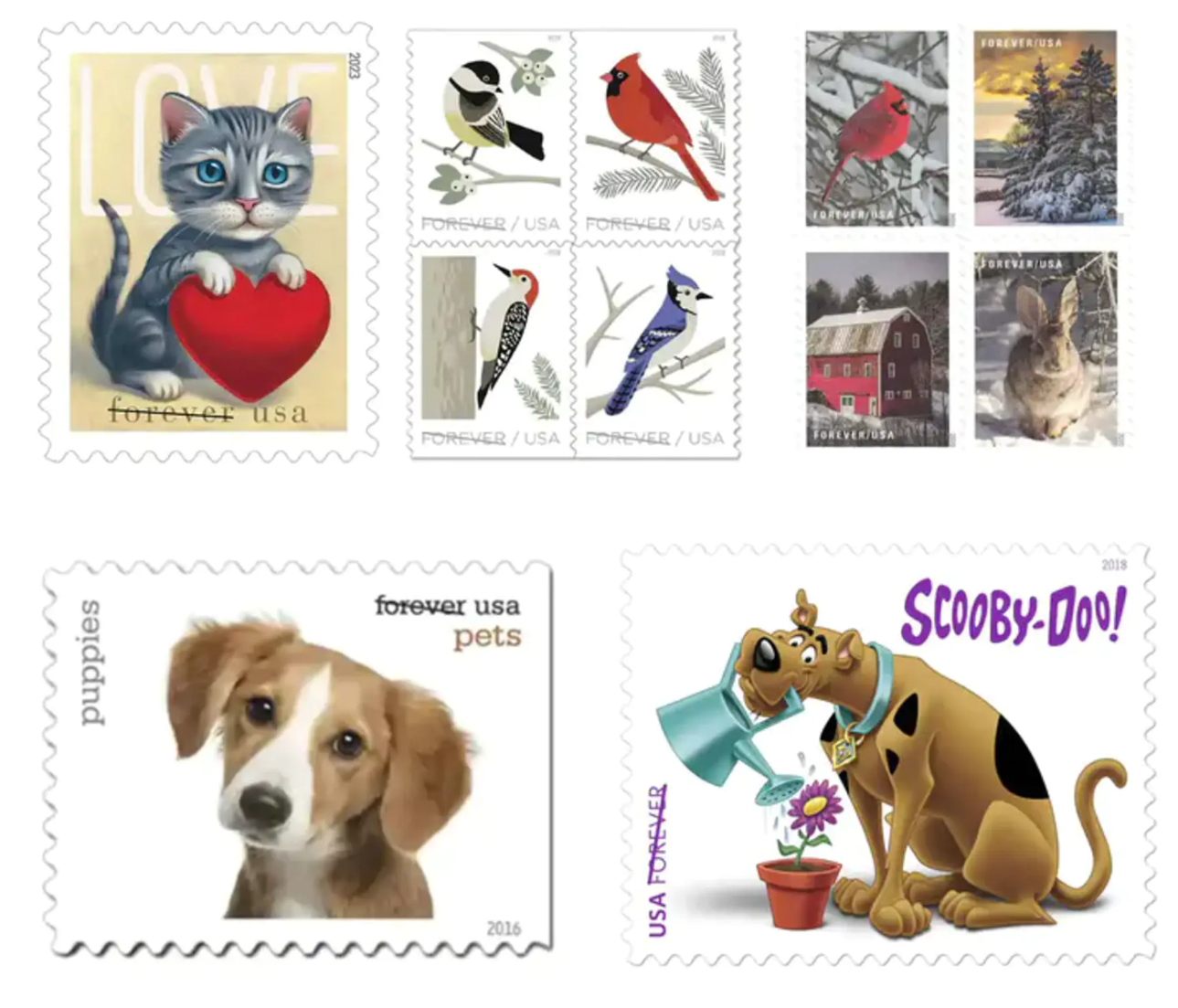 Cute Pets Collection